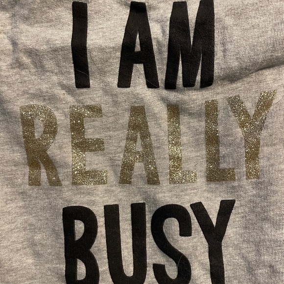 “I Am Really Busy” Cute & Cozy Urban Supply Sparkly Grey Dog Hoodie Sweater - Picture 4 of 7